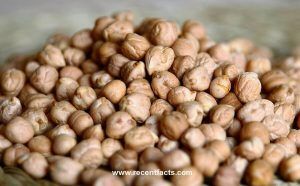 Chickpeas benefits and side effects