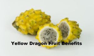 Yellow Dragon Fruit Benefits, Nutrition Facts and Side Effects