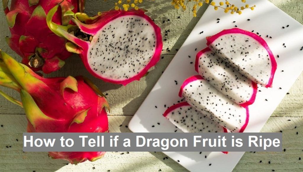 How to Tell if a Dragon Fruit is Ripe - RecentFacts